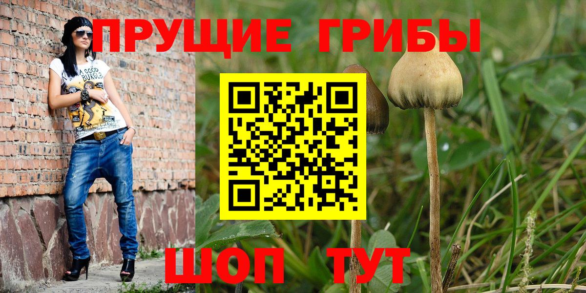 Галлюциногенные грибы MAGIC MUSHROOMS  Вход с VPN  где найти наркотики  Рославль  Псилоцибиновые грибы ЛСД 